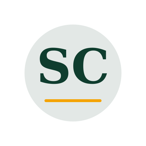 Susan Chimney Repair logo
